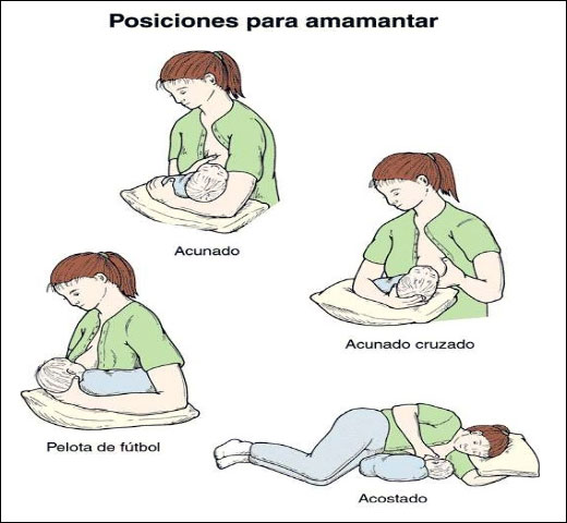 LECHE MATERNA