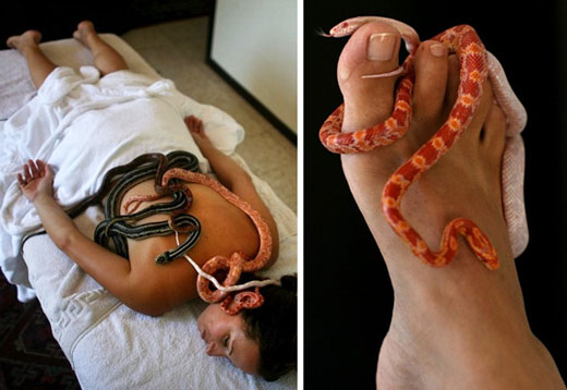 SNAKE MASSAGE