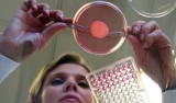 L'Oreal desarrollará piel humana con impresoras 3D para testear cosméticos