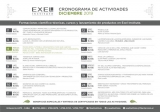 Cronograma de actividades de diciembre del Exel Institute